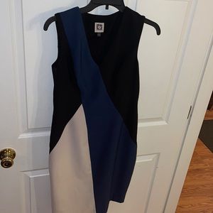 Anne Klein dress